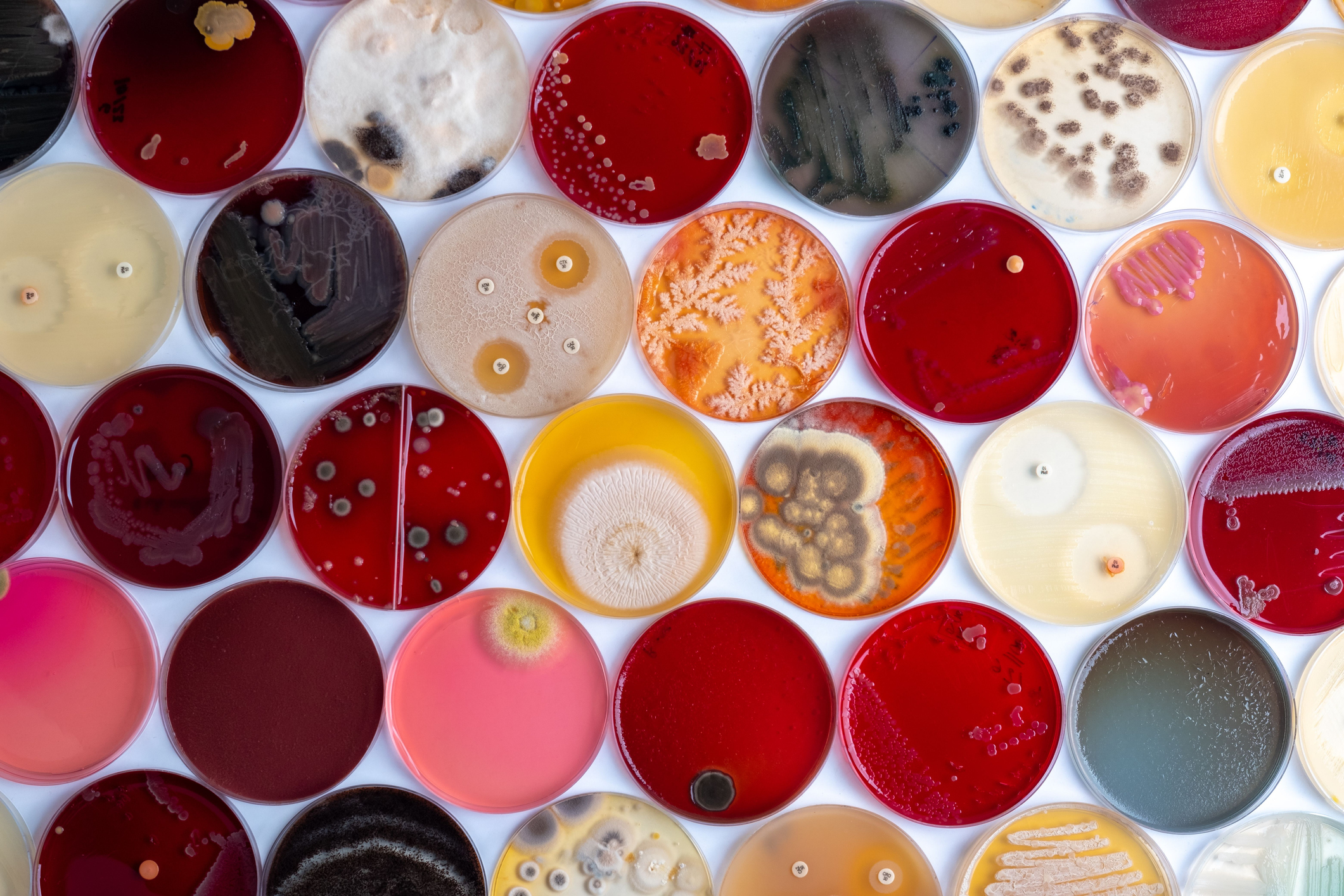 Building automated nurtures in Life Sciences